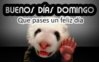 Buenos días Domingo