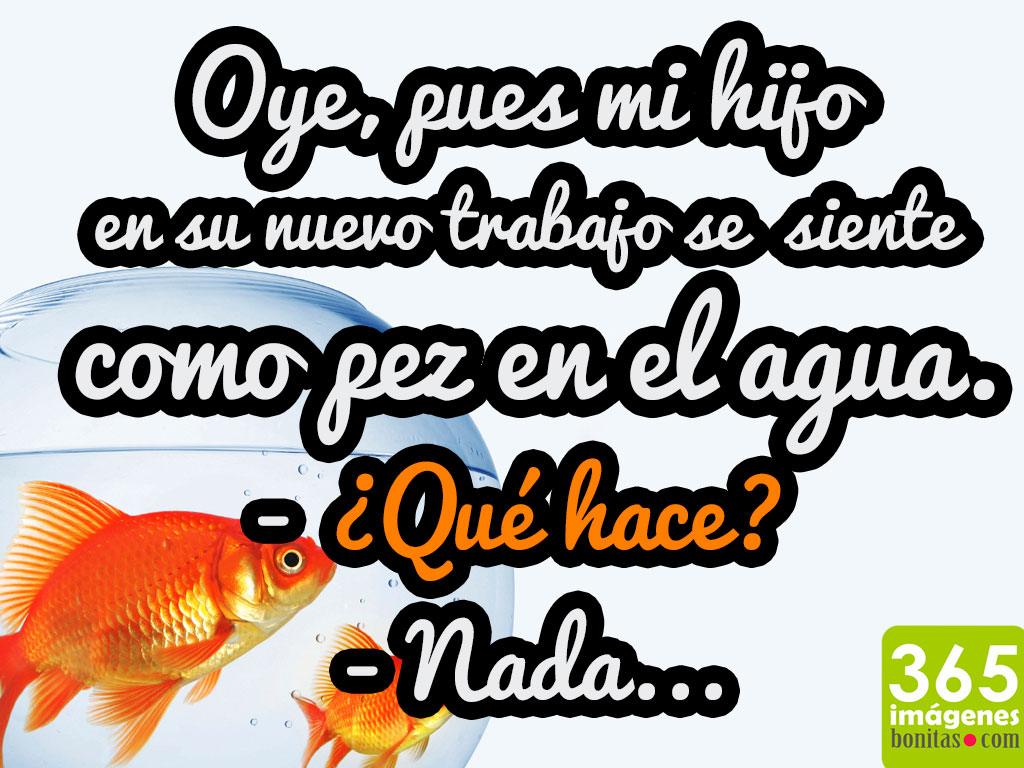 Como Pez en el agua, mi hijo en su trabajo