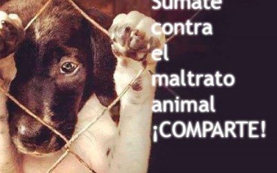 Contra el Maltrato Animal