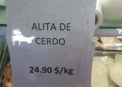 Alita de cerdo