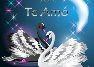 Te Amo, Bonita imagen de unos cisnes con una dedicatoria de amor