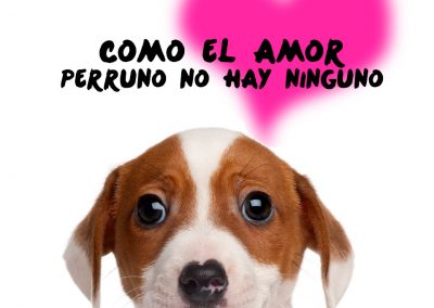 imágenes de amor con corazones