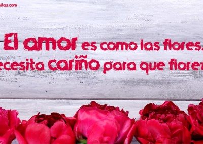 Imágenes de amor con flores y una frase bella, el amor es como las flores...