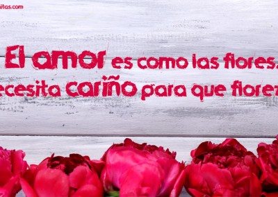 Imágenes de amor con flores y una frase bella, el amor es como las flores...