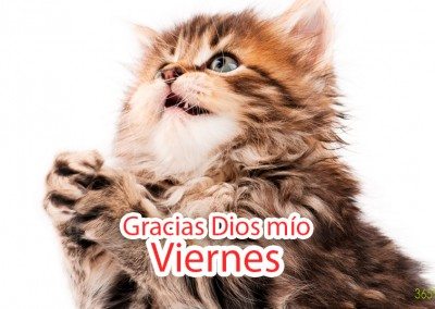 Gracias... ya viernes