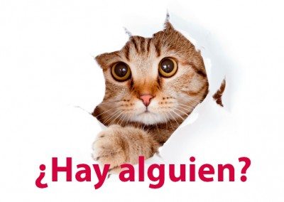 ¿Hay alguien?