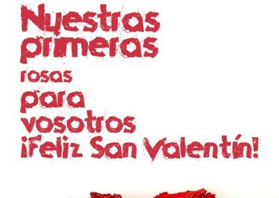 Imágenes de San Valentín, Rosas rojas por San Valentín
