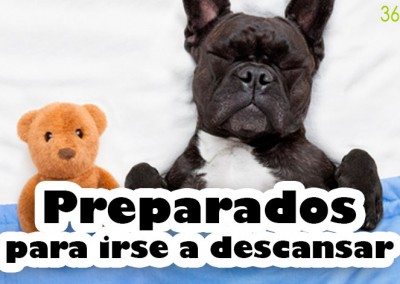 Preparados para irse a descansar