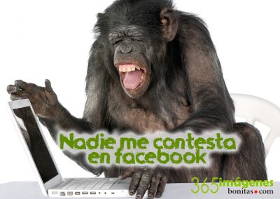 Nadie me contesta en Facebook