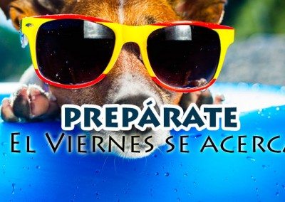 Imagen de un perro preparado para el viernes