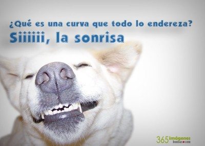 Perro sonriendo con una frase motivadora