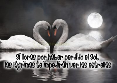 Imágenes de amor: Si lloras por haber perdido el sol, las lagrimas te impediran ver las estrellas