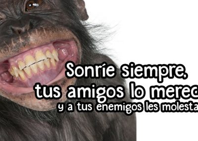 Sonrie siempre tus amigos se lo merecen