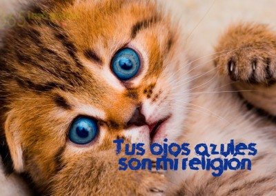 Tus ojos azules son mi religión