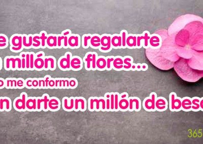 Un millón de flores, me conformo con un millón de besos