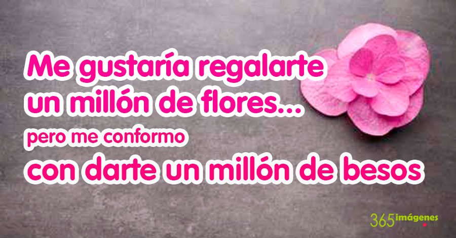 IMÁGENES BONITAS DE FLORES con Frases Cortas en agosto 【2019】