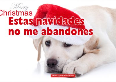 No me abandones