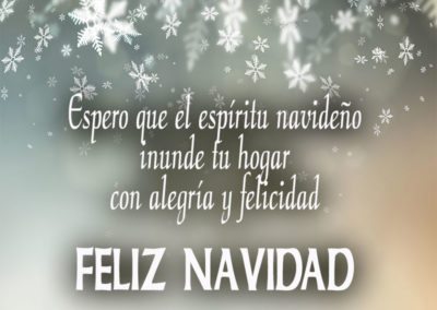 Espíritu navideño