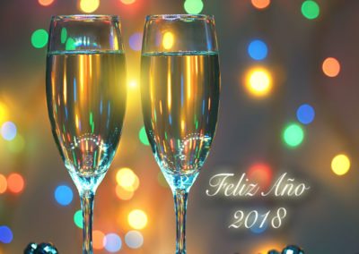 Feliz 2018 Un brindis