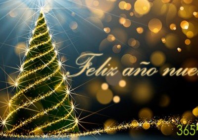 Feliz año nuevo
