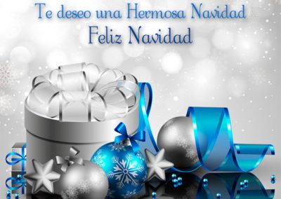 Hermosa Navidad