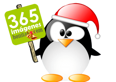 Navidad 365 Imagenes