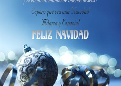 Navidad mágica y especial