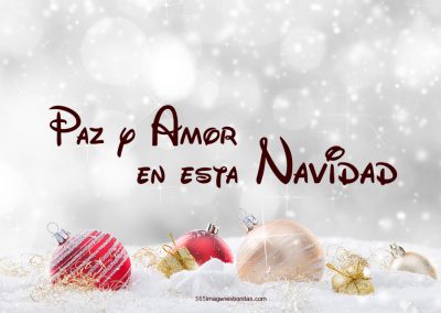 Paz y amor en navidad