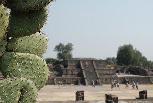 Teotihuacan-Opuntia