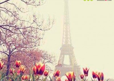 Imagen de Torre Eifel con tulipanes