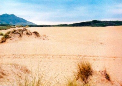 Cantabria, dunas de liencres, imagen de dunas