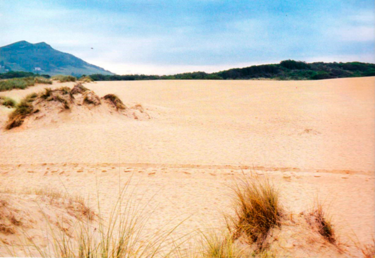 Dunas de Liencres, Cantabria