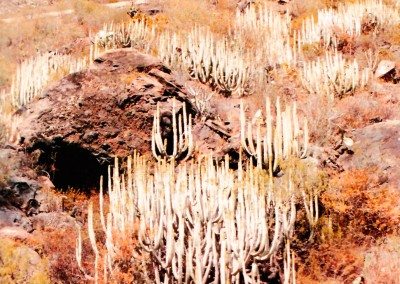 Paraísos para aventureros en Tenerife