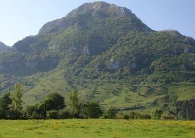 Imagen del parque natural de Aralar