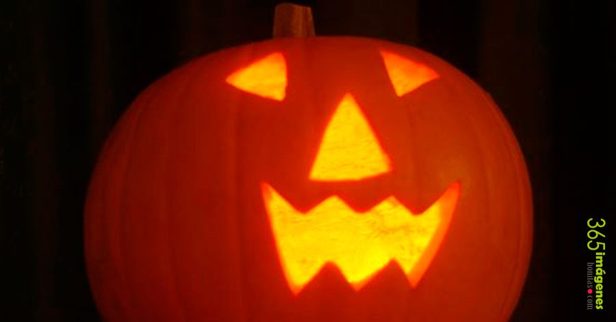 Halloween Calabazas Halloween Calabazas
