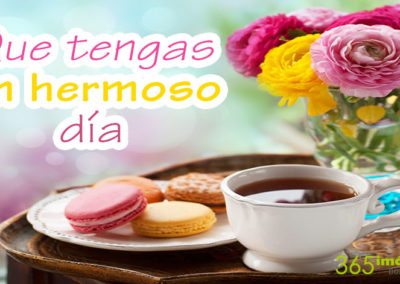 Hermoso día