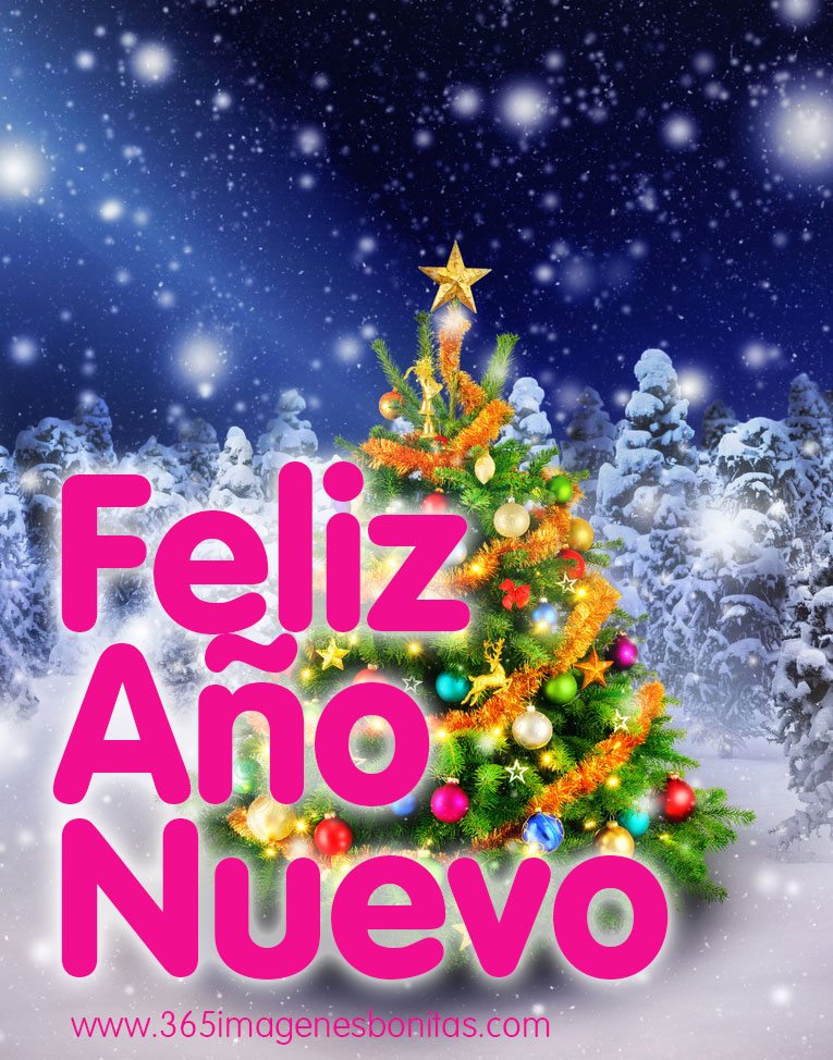 Las 10 mejores FRASES DE NAVIDAD cortas, divertidas y bonitas