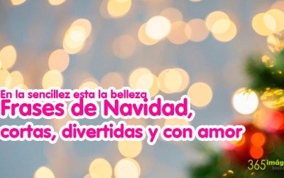 Las 10 + 17 mejores frases de Navidad