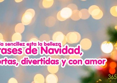 Frases de Navidad cortas y divertidas