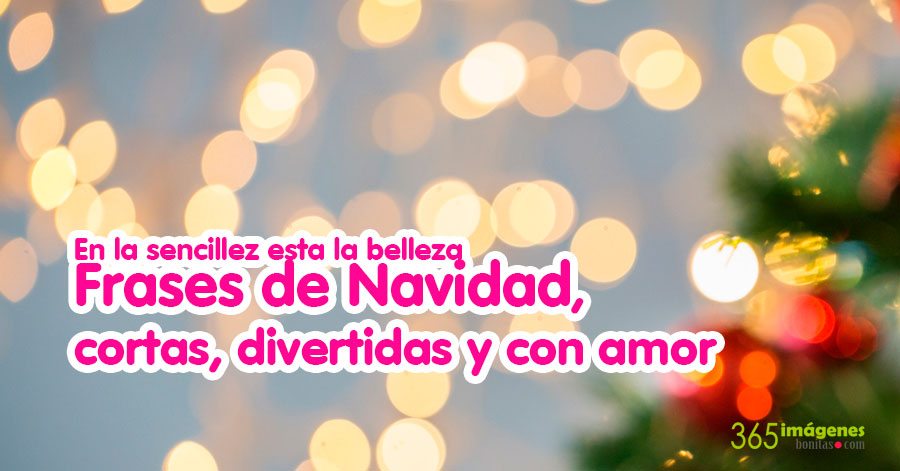 Las 10 Mejores Frases De Navidad Cortas Divertidas Y Bonitas