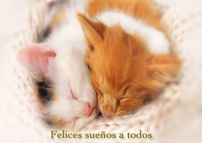 Buenas noches - Felices sueños a todos