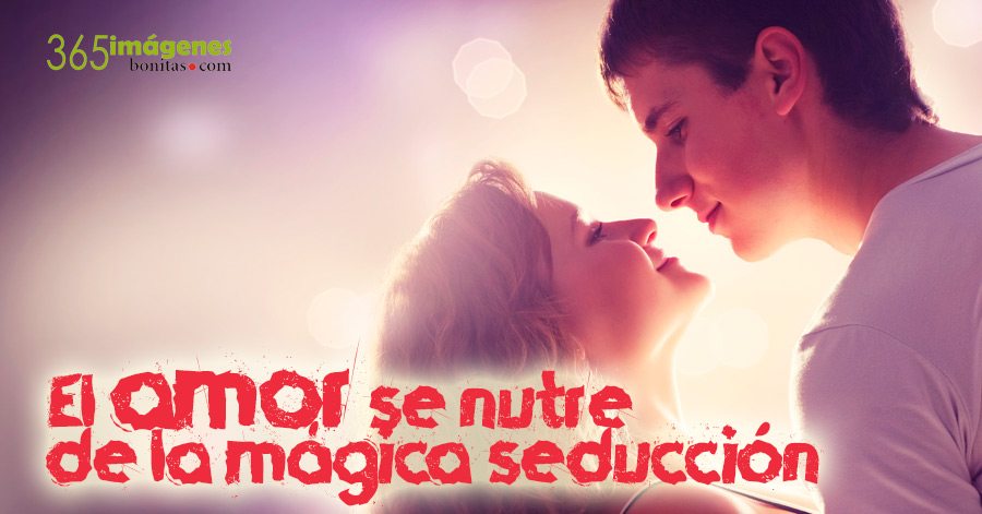 consejos de amor Feliz día de los enamorados, Consejos de amor