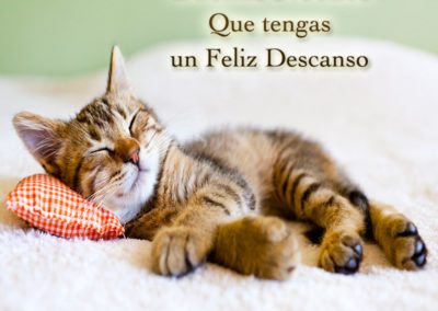 Que tengas un feliz descanso