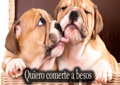 Quiero comerte a besos