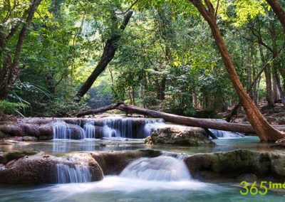 Cascada en el bosque