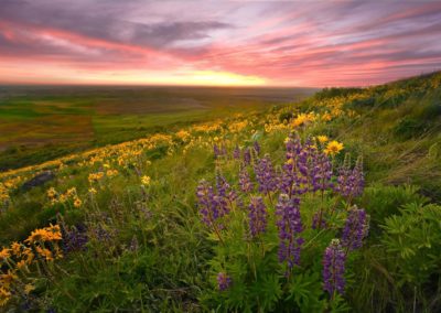 Paisaje al atardecer