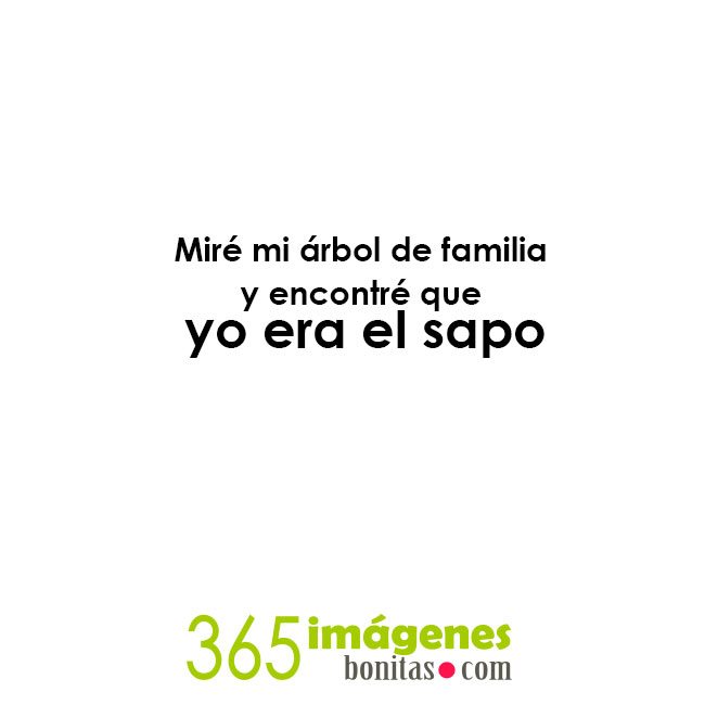 frases divertidas Miré mi árbol de familia y encontré que yo era el sapo