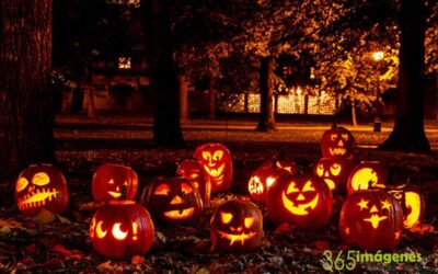 Símbolos de Halloween característicos