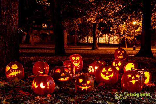 Símbolos de halloween, las calabazas Símbolos de halloween, las calabazas