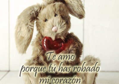 Tu has robado mi corazón